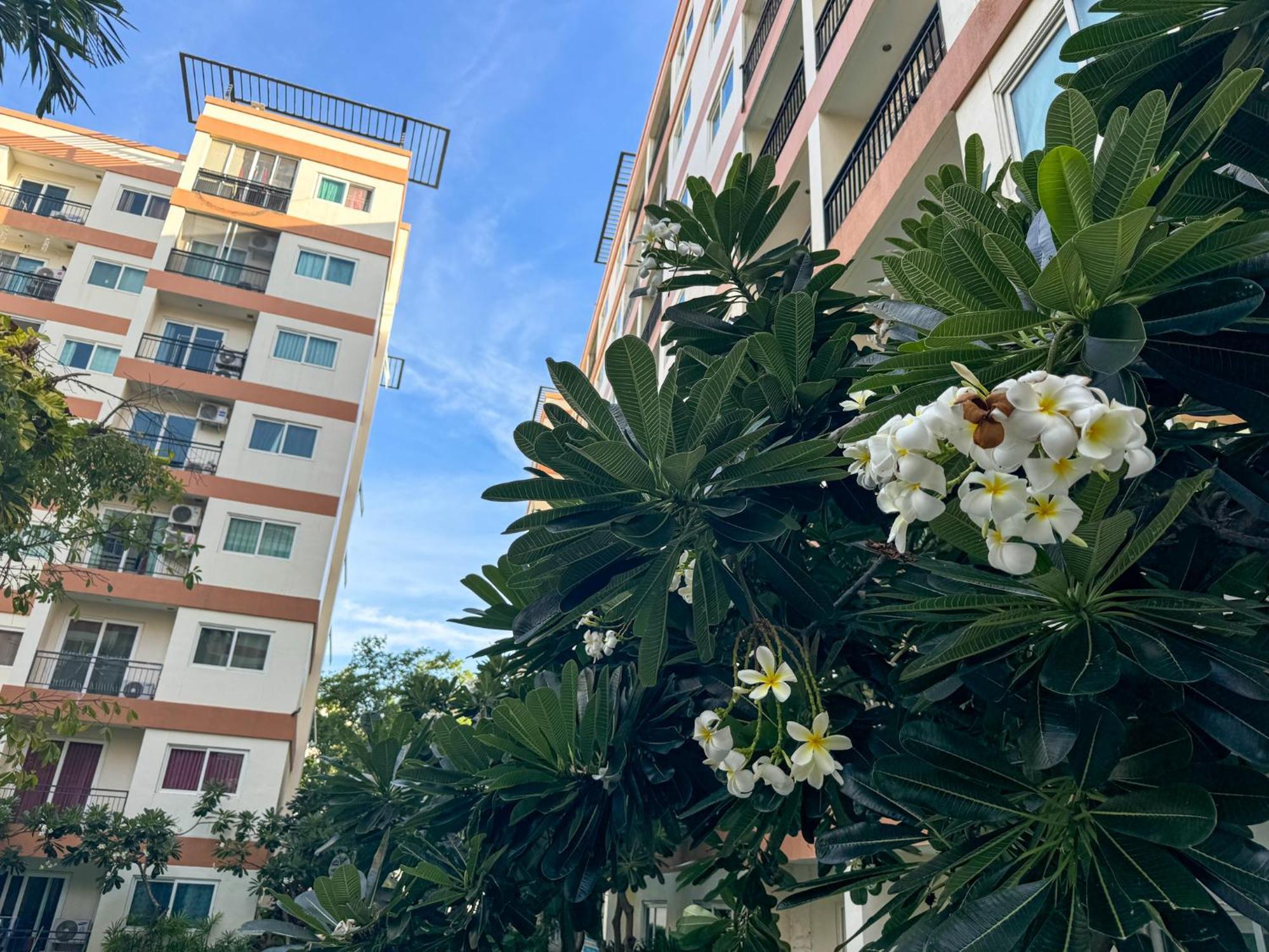 卧室直达泳池 全网最低价 到中天海滩5分钟 Praia de Jomtien Exterior foto