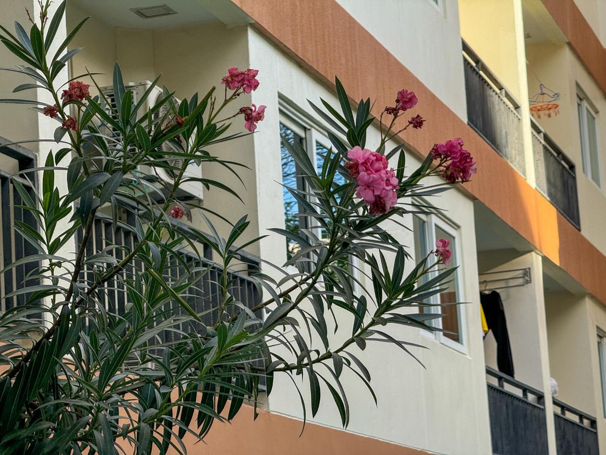 卧室直达泳池 全网最低价 到中天海滩5分钟 Praia de Jomtien Exterior foto